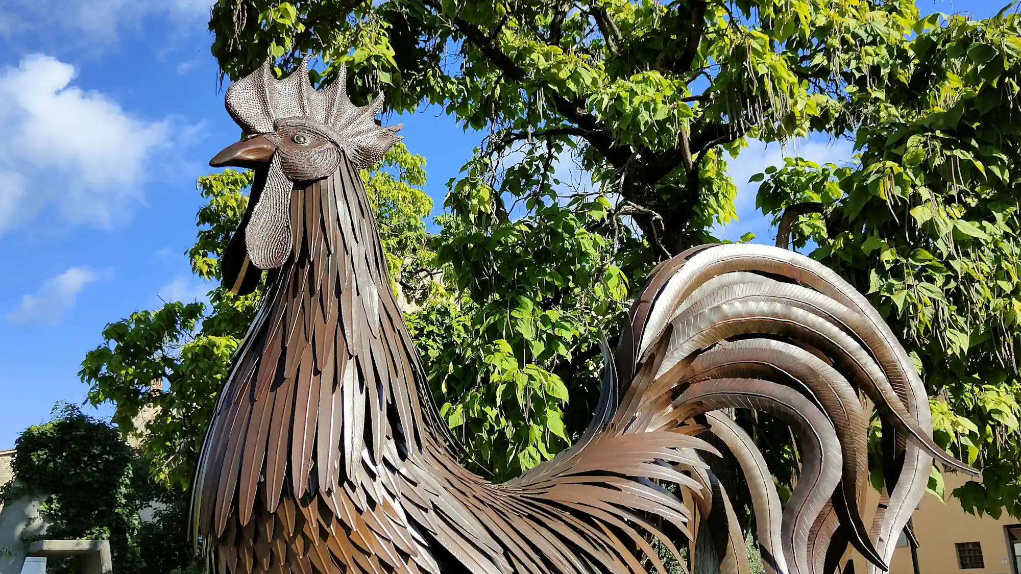 chianti classico black rooster